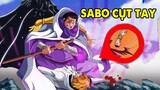 One Piece 1054 | Sabo Cụt Tay, Ba Vivi Bị Ám Sát, Trái dữ Quỷ Bò Lục Hệ Logia