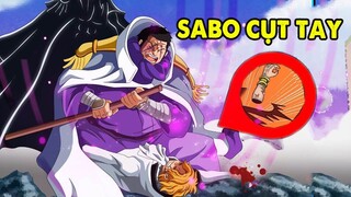 One Piece 1054 | Sabo Cụt Tay, Bố Vivi Bị Ám Sát, Trái Ác Quỷ Bò Lục Hệ Logia