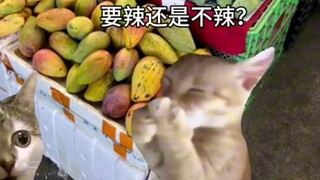 Khi người ngoài đến Quảng Tây lần đầu tiên