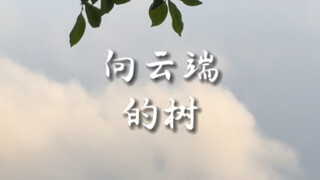 That is a tribute to the sky, not a request for help from life.
