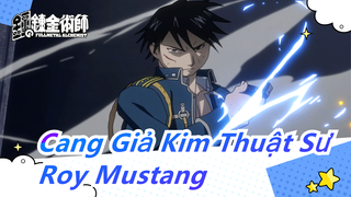 [Cang Giả Kim Thuật Sư/Beat Hòa Âm] Các cảnh chiến Hoành Tráng Roy Mustang