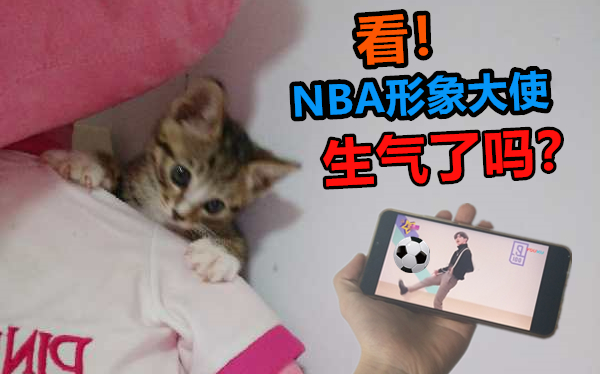 Mở hộp mua mèo online, cho nó xem “Gà bạn quá đẹp”, giận đến mức cào chủ chảy máu!