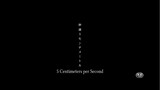 Byousoku 5 Centimeter/ Five Centimeters Per Second - a chain of short stories the movie