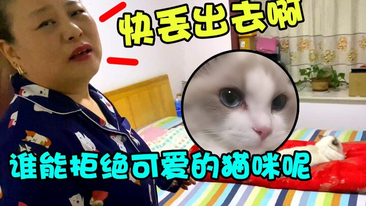 I heard that when parents see a cat for the first time, they say they want to throw it away?