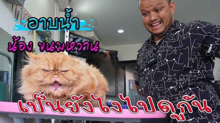 ช่างท้อป - อาบน้ำ น้องขนมหวาน เป็นยังไงไปดูกัน