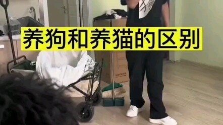 ความแตกต่างระหว่างการเลี้ยงสุนัขกับการเลี้ยงแมว