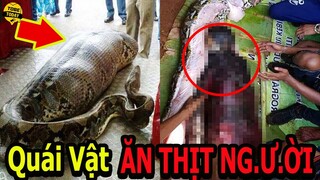 🔴Khóc Thét Với 5 Loài Trăn Quái Vật CỰC Nguy Hiểm Và Đáng Sợ Nhất Hành Tinh