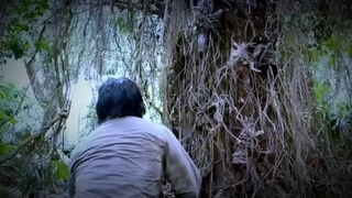 Hollywood movie clip