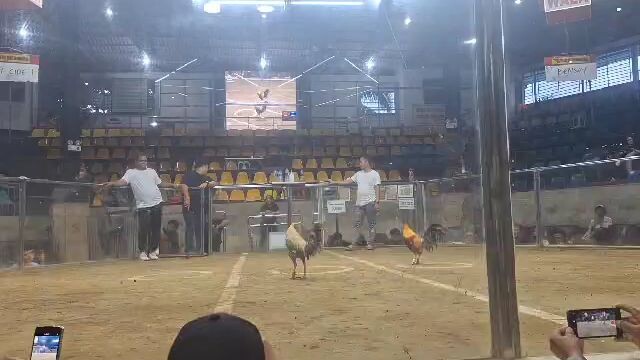 2x winner dirty dome vs gold dobol blade