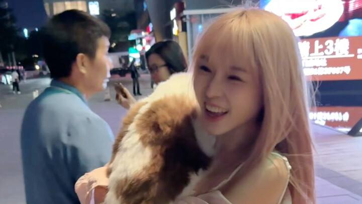 Mèo lại bị bế đi rồi