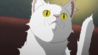 Nyaight of the Living Cat| Juli 2025