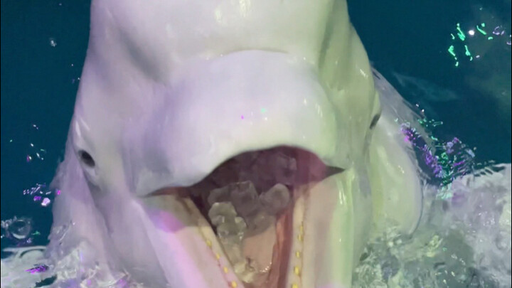 It's so hot; let's have some ice!