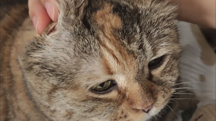 Guangdang is toyed with at will.