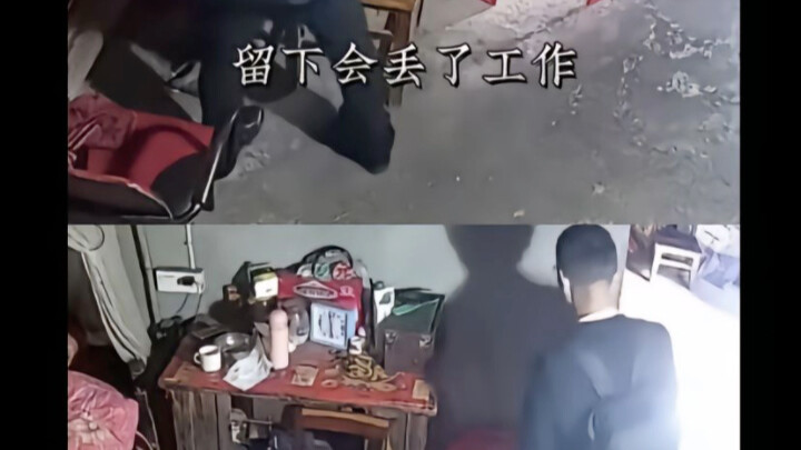 Kalau tetap tinggal, kamu bakal kehilangan pekerjaan; kalau pilih kerja, kamu mungkin akan menyesal 