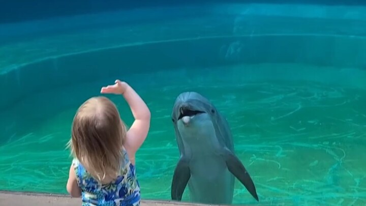 Such heartwarming scenes are so healing!