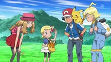 Pokemon XY - 27