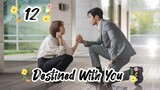 Destined With You(2023) epesode 12 [Eng Sub]
