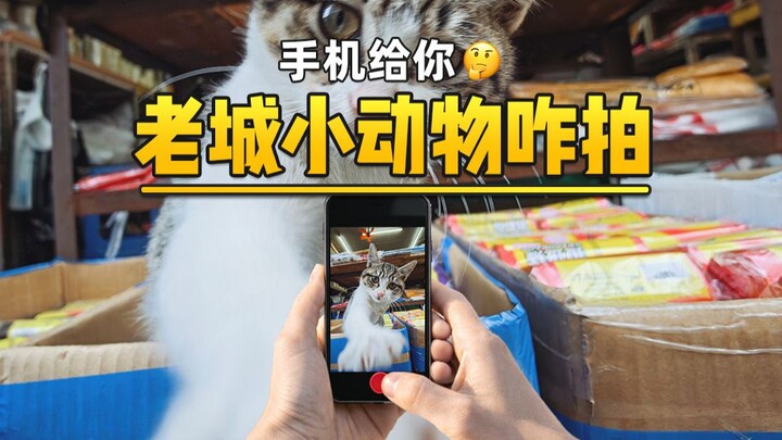 Đưa điện thoại cho bạn, gặp động vật nhỏ thì chụp thế nào nhỉ🤔