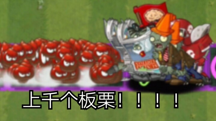 爆肝40分钟攒上千个板栗！它们与四阶僵尸谁更胜一筹？