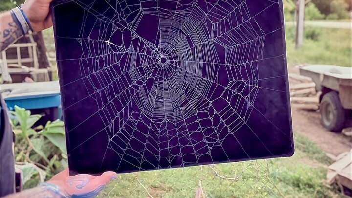 Sealing a spiderweb—so cool!