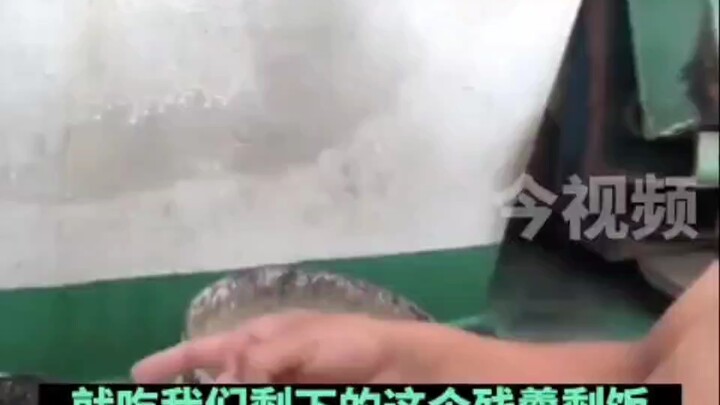 Dog: I just can’t swallow this humiliation.