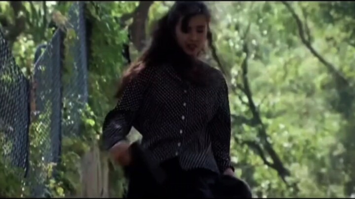 Al Studio - Tình như lá bay xa