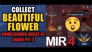 Collect Beautiful Flower "Unwelcomed Guest at Snake Pit 2" Guide | MIR4 Request Walkthrough #MIR4