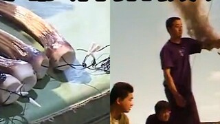 Rahasia Pembuatan Film Ultraman: Tahukah Anda Bagaimana Galaxy Ditendang?
