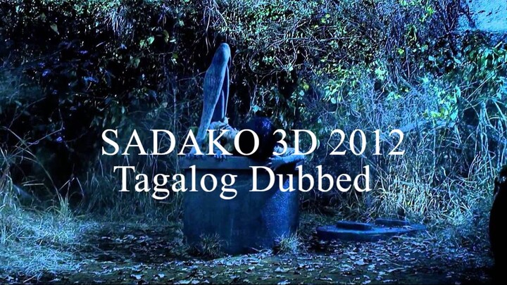 SADAKO 3D 2012 (Tagalog Dubbed)