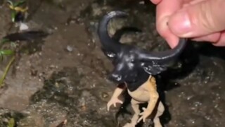 Minumlah sekali sehari untuk mencegah depresi
