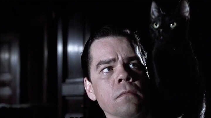 A rich man hired a killer for $100,000 to kill a cat? Adapted from Stephen King's novel