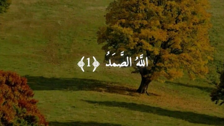beautiful tilwat quran best voice 🤲🤲