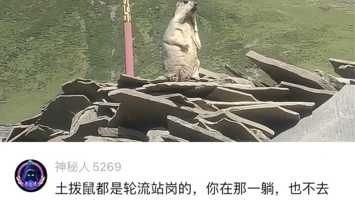 Phú Quý: Em có biết bao nhiêu năm qua anh đã sống như thế nào không?