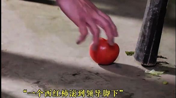 ผู้นำระดับสูงมาตรวจราชการ จะใช้มะเขือเทศลูกเดียวชวนท่านคุยได้อย่างไร?