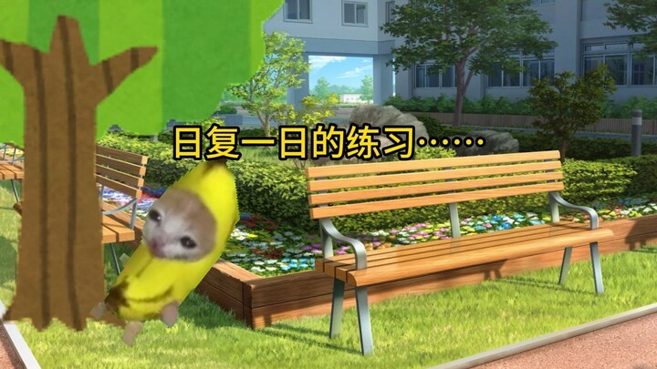 【Meme mèo】Câu chuyện hồi tiểu học cố tự luyện khinh công