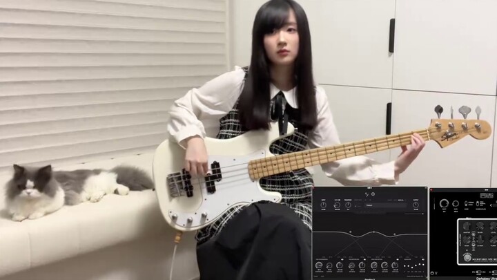 Bất kỳ bass nào cũng có thể chơi Ave mujica? Học âm bass trong một video