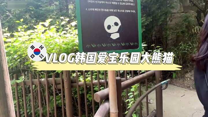 Fubao, Fubao—I’m Lebao!