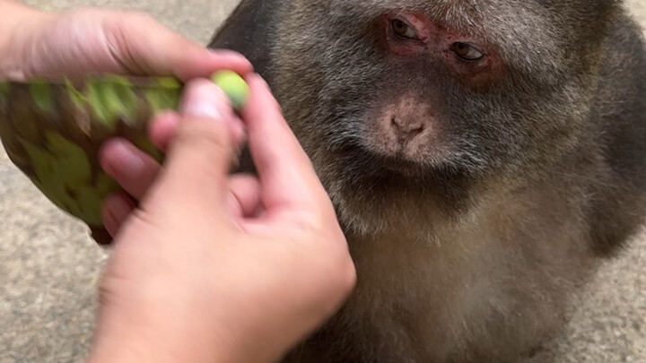 رائع وروحاني، لا يُنازع ولا يُزاحم!