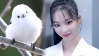 【柳智敏】现代汽车首次公开舞蹈亮相两周年！脸小心动的开始：