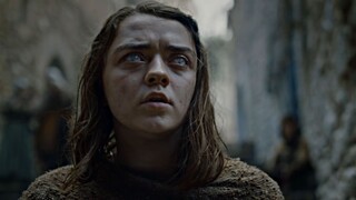Arya Stark - Survivor