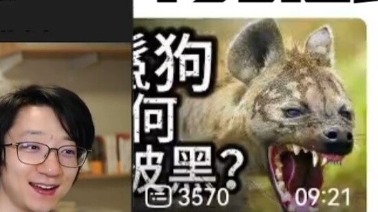 [Gaya Penggemar] Setelah berteriak sekeras-kerasnya bahwa hyena itu lucu, saya melihat bahwa penonto