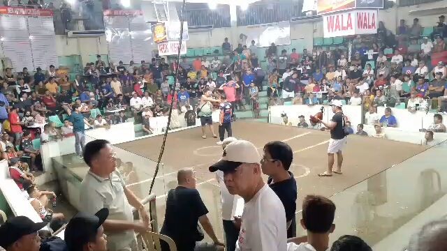 @sunday 1st fight win gawing WALA @boss tiger/boss Elwin