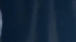 Có ai đến cứu Tiểu Ba không, mới chỉ là ngày thứ ba của đợt cách ly thôi...