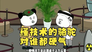 懂技术的骆驼，对谁都硬气