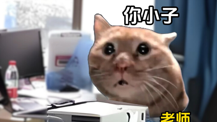 When medical students learn suturing for the first time #CatMemeMiniDrama #MedicalStudent #TooRealis