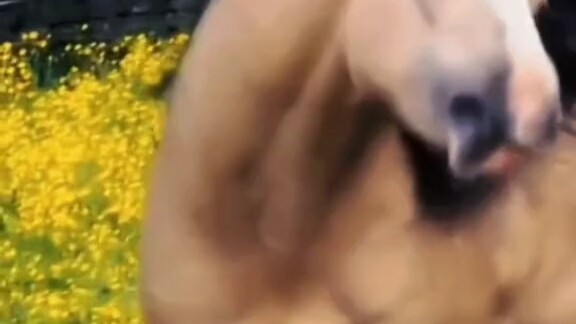 ทำไมเขาถึงได้เท่ขนาดนี้?