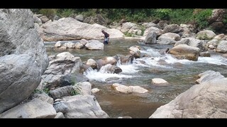 Cast Netting in Small River of Nepal | Asala Fishing |