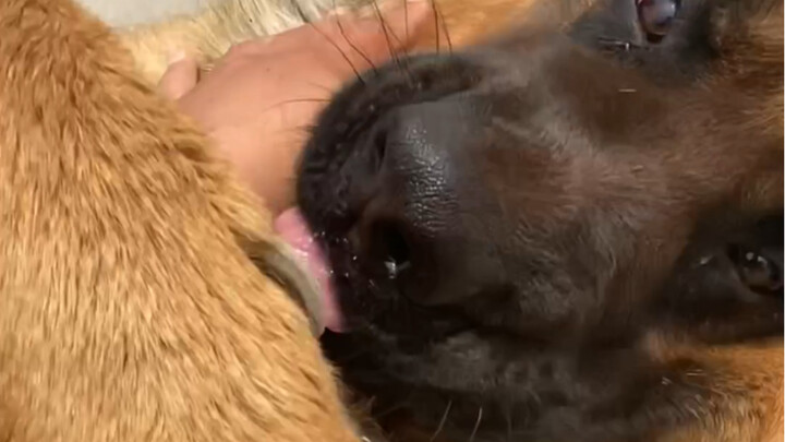 حامض جدًا ههههه