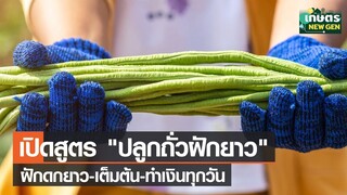 เปิดสูตร "ปลูกถั่วฝักยาว" ฝักดกยาวเต็มต้น ทำเงินทุกวัน | เกษตรนิวเจน