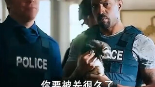 好一个职责所在 … 哈哈哈哈哈哈哈